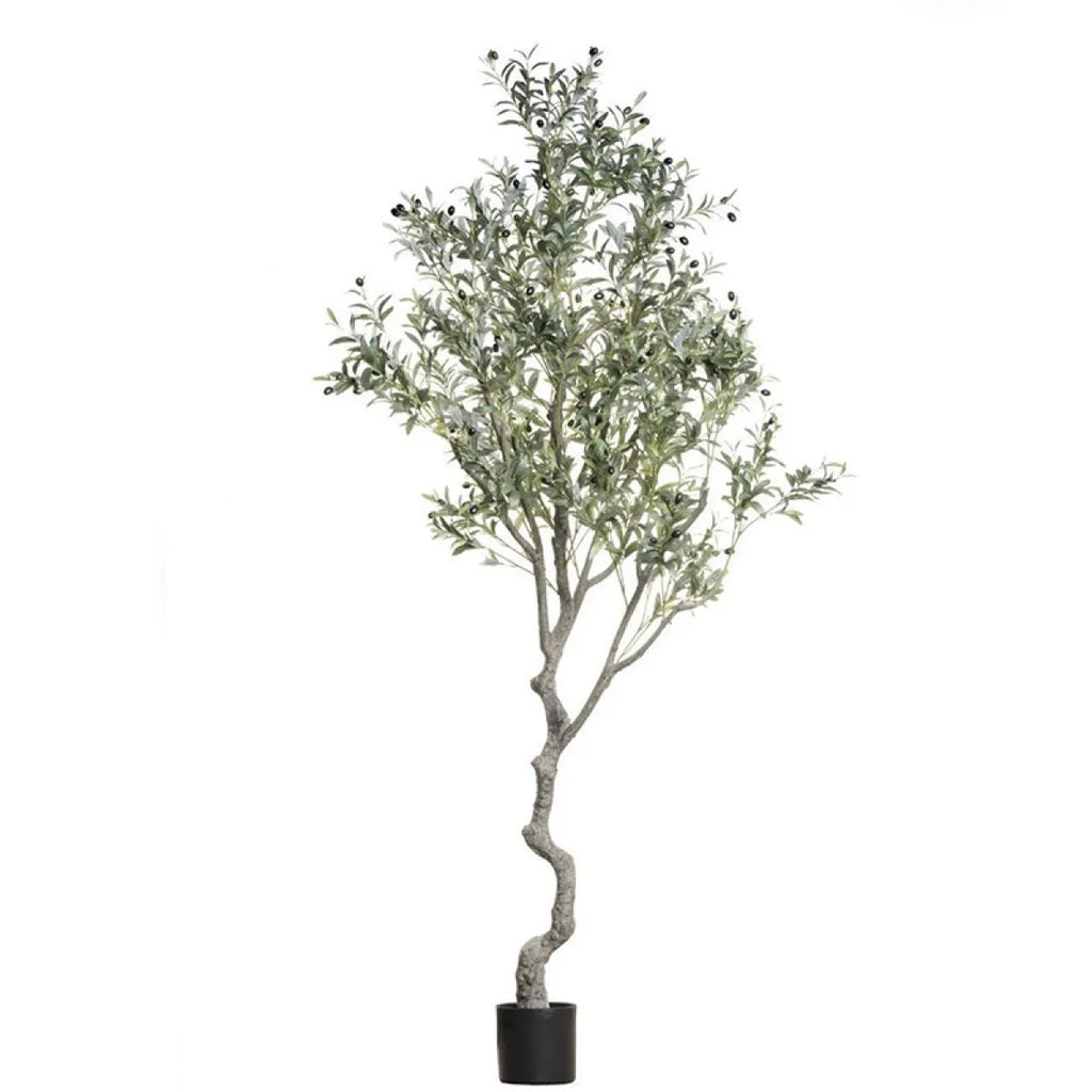 Minimalist Simulated Olive Tree